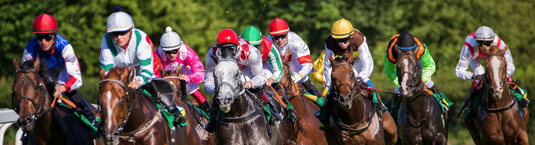 Photo of horses and jockeys racing