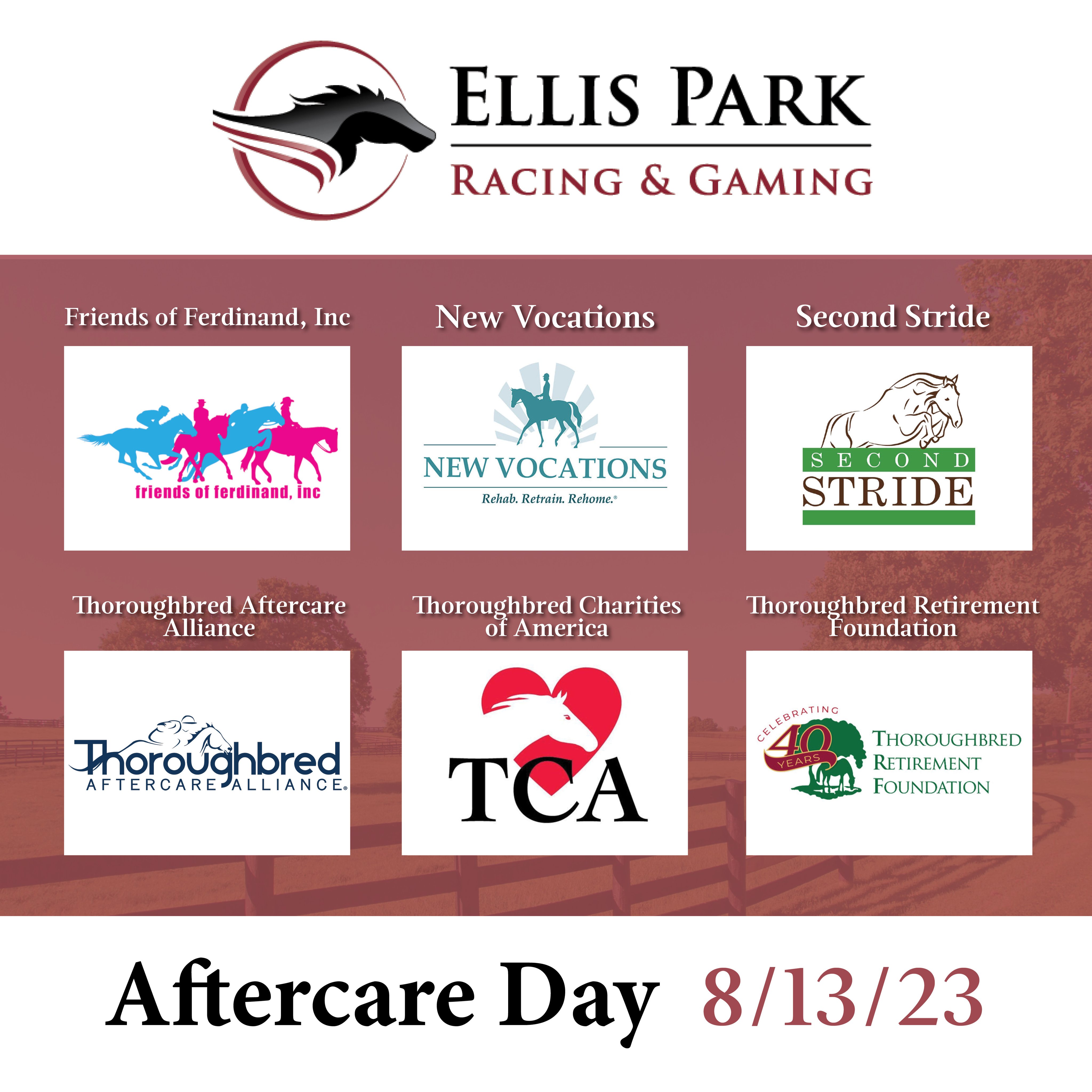 Aftercare Day